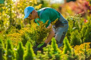 man in blue-green with plants